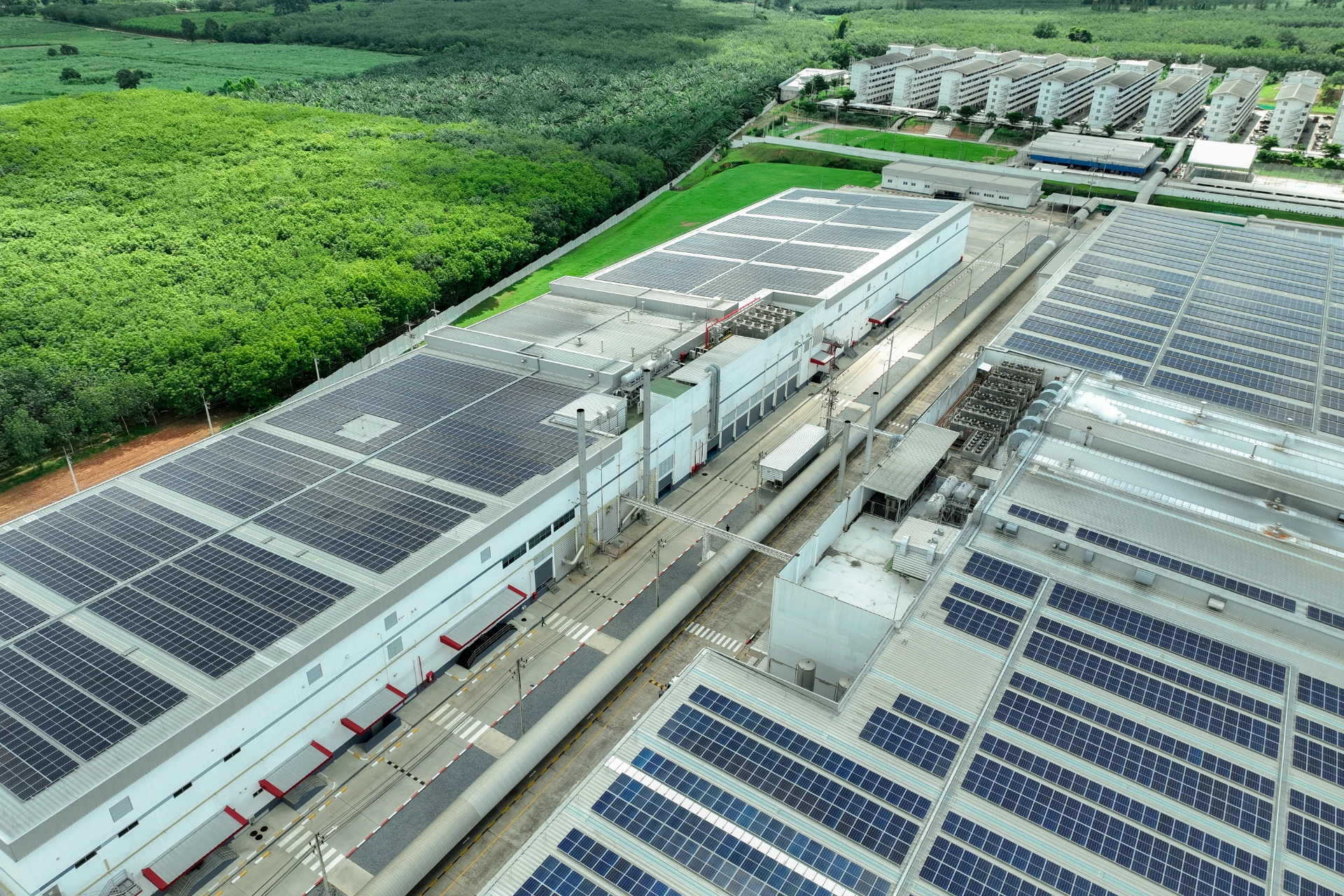 Mercato energia 2026: tariffe e trend aziende